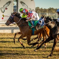 A Century of Country Racing: Gulargambone Gold Cup Returns Saturday, 30 August 2025