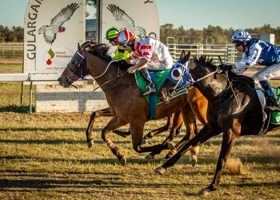 A Century of Country Racing: Gulargambone Gold Cup Returns Saturday, 30 August 2025